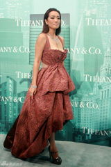 组图：群星助阵发布会 巩俐戴过亿珠宝显女王气质