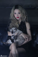 组图：2013爱豆评选音乐篇 谁是你的“神”