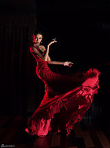 组图：张蓝心演绎红与黑诱惑尽展风情