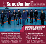 新浪娱乐年度韩娱盘点：2013韩流你疯了吗？