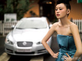 高清图：戴菲菲香车美女写真 妩媚身姿性感撩人