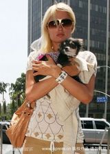 幻灯图集：帕丽斯-希尔顿与宠物狗形影不离