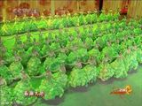 幻灯图：虎年春晚拉开帷幕 《虎跃龙腾报春来》开场