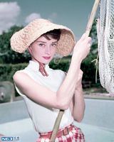 [老照片]奥黛丽-赫本85周年诞辰 天使在人间