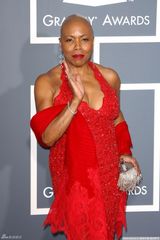 高清图：格莱美红毯 迪迪-布里姬沃特风韵犹存