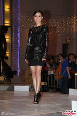 组图：TVB2014巡礼全员出动 女星竞艳旧爱相逢