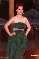 幻灯：香港金像奖颁奖红毯 杨千嬅绿裙典雅