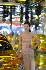 组图：车模兽兽性感透视黄金奶 自信爆乳微笑