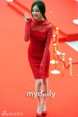 组图：韩星云集首尔电视剧盛典 吴奇隆等助阵