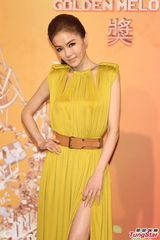 组图：谢金燕亮相红毯 自撩裙摆秀美腿