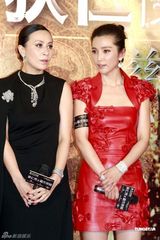 高清组图：《狄仁杰》慈善首映 刘德华巧对冲动影迷