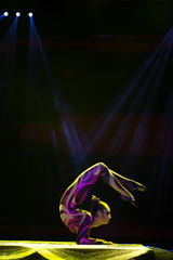 组图：《太极图》秀出东方韵 冯小刚李玉刚观演