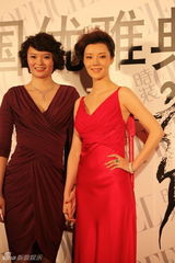 组图：车晓高贵亮相“优雅”盛典 露背装酷似女神  