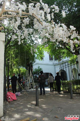 组图：张震婚礼现场布置曝光 全白桌椅吊饰唯美