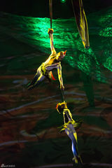 组图：《太极图》秀出东方韵 冯小刚李玉刚观演