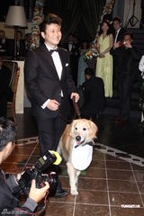 高清图：歌手黄湘怡百万浪漫婚礼 林依晨郑元畅道贺