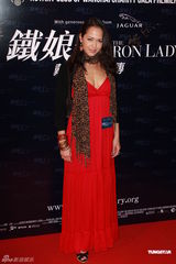 组图：《铁娘子》香港首映 何超琼温碧霞等助阵