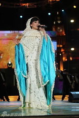 幻灯图：新年夜星光灿灿耀上海 倒计时焰火迎世博