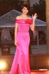 幻灯：香港金像奖颁奖红毯 梁咏琪桃红洋装显高贵