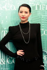 组图：群星助阵发布会 巩俐戴过亿珠宝显女王气质