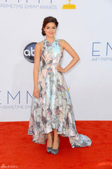 组图：艾美奖红毯 《摩登家族》俏妞阿芮尔扎染裙