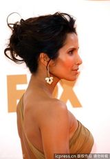 组图：艾美奖红毯 帕德玛-拉克施密古铜色长裙