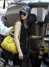 组图：范冰冰穿透视裙现身机场 秀香肩风韵十足