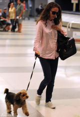 组图：波特曼牵可爱宠物狗现身机场