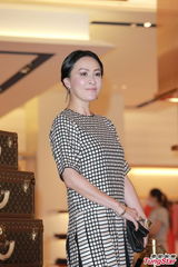 组图：刘嘉玲优雅亮相艺术展 否认手持8亿物业