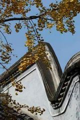 组图：电视剧《菩提树下》场景曝光