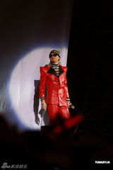 组图：蔡枫华演唱会完美收官 自言置之死地而后生