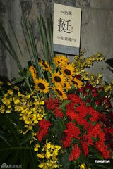 组图：杨丞琳个唱化身摇滚精灵 打造魔幻舞台