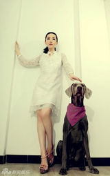 组图：车永莉拍另类写真 携魏玛犬登杂志