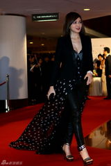 群星闪耀嫣然基金晚宴 王菲旗袍装与李亚鹏恩爱