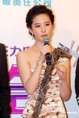 幻灯图：刘亦菲王力宏携手宣传新片 合作亲密无间 