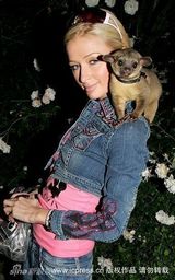 幻灯图集：帕丽斯-希尔顿与宠物狗形影不离