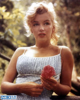 组图：梦露与前夫米勒罕见写真 林中娇憨小女人