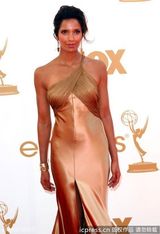 组图：艾美奖红毯 帕德玛-拉克施密古铜色长裙