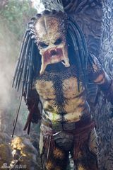 幻灯：新版电影《铁血战士》新剧照公布