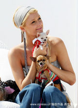 幻灯图集：帕丽斯-希尔顿与宠物狗形影不离