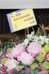 组图：刘若英分享爱情体会 自曝恋爱失败多次