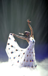 组图：杨丽萍《云南映象》升级版首演 十年沉淀