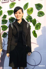 组图：陶红马艳丽陈紫函等亮相汽车盛典 呼吁环保