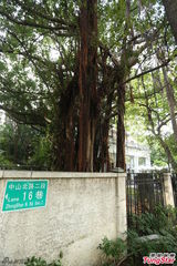 组图：张震婚礼现场抢先曝光 将于电影院办派对