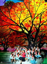 组图：褚海辰演唱会在京唱响 阎维文王宏伟助阵