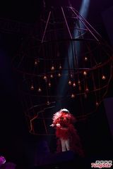 组图：张敬轩个唱上演3D大秀 舞台变身时光机