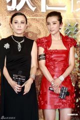 高清组图：《狄仁杰》慈善首映 刘德华巧对冲动影迷