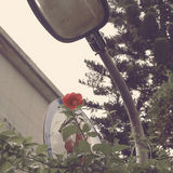 幻灯图集：陈奕迅《上五楼的快活》个人摄影作品展