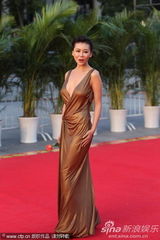 第21届金鸡百花电影节红毯女星争艳