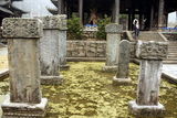 幻灯：《新少林寺》主推感情戏 成龙刘德华将对打